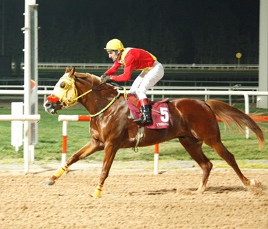 alperthekoca'in bu yarış hakkındaki yorumu 