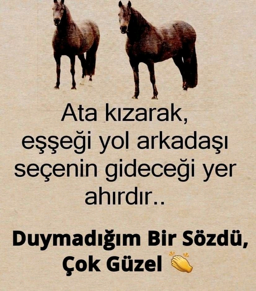 zincir34'in bu yarış hakkındaki yorumu 