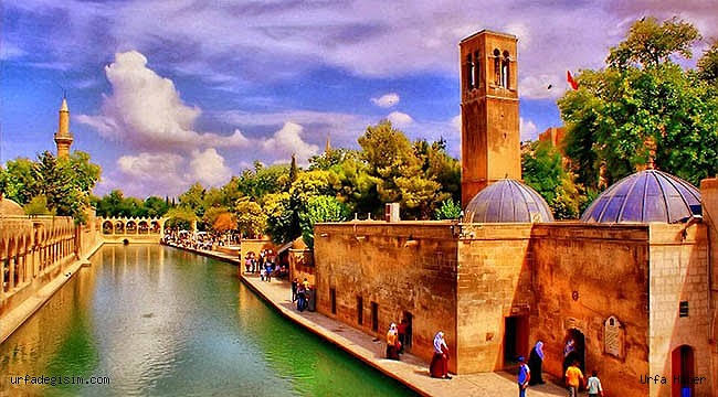 urfa63'in bu yarış hakkındaki yorumu 