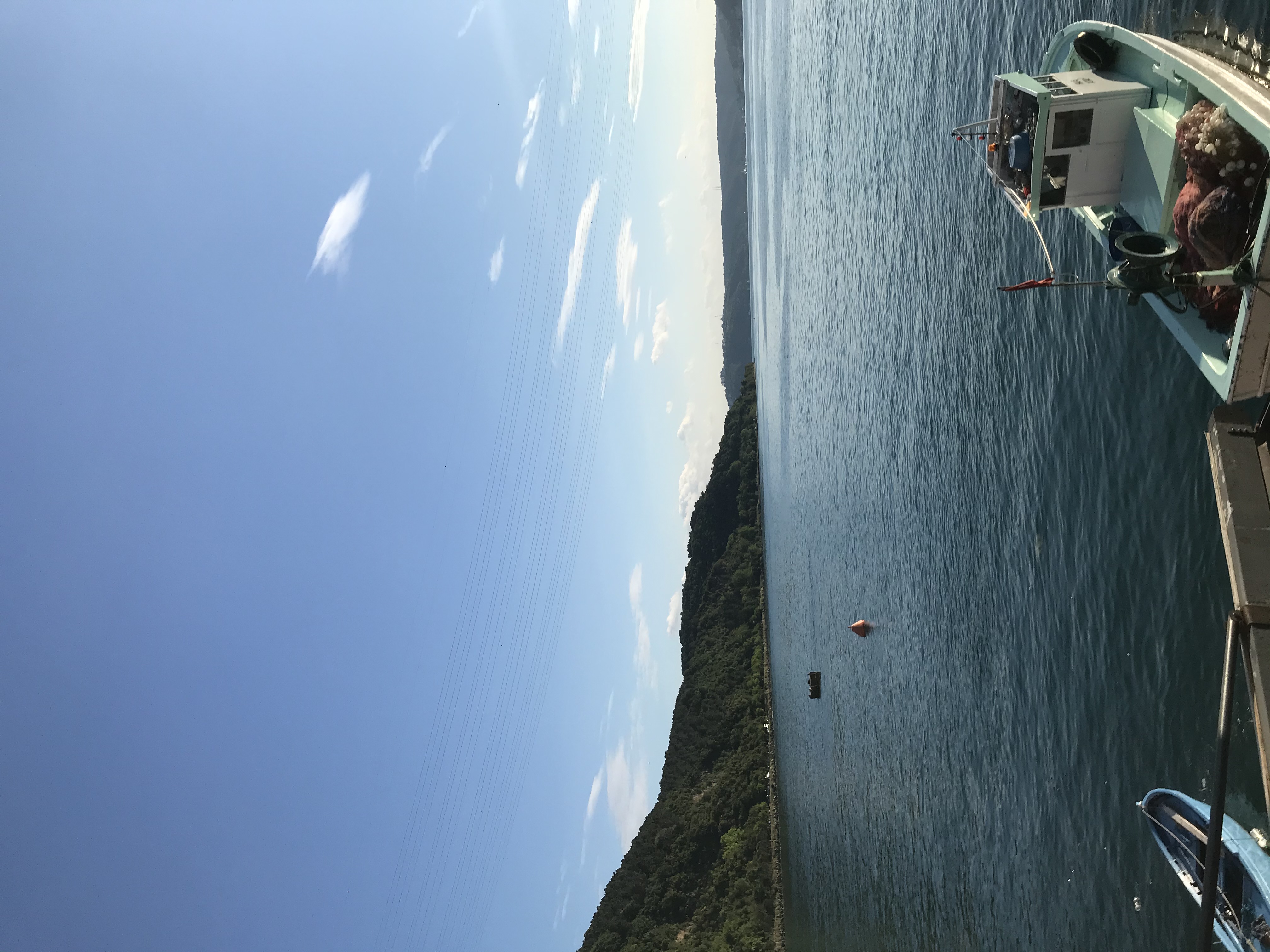 Muratcix1907'in bu yarış hakkındaki yorumu 