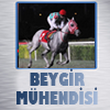 Yazar: beygirmuhendisi