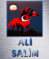 alisalim Yazar: alisalim