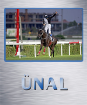 unal Yazar: unal